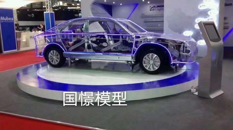资阳透明车模型